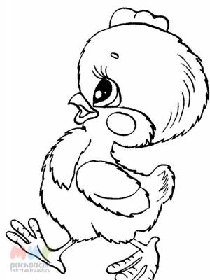 Раскраска Цыпленок