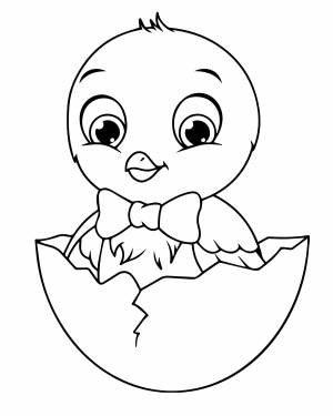 Цыпленок вылупился