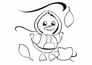 Раскраска Цыпленок в кофте