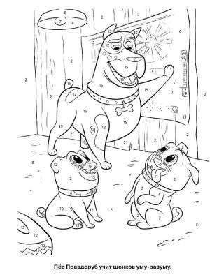 Раскраска Дружные Мопсы