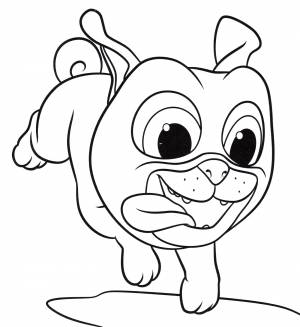 Раскраска Бинго куда-то бежит