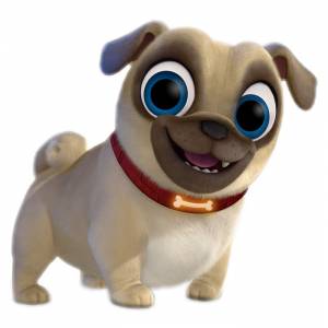 Дружные мопсы