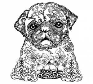 Раскраски Мопс
