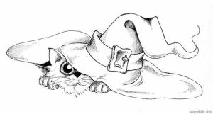 Раскраски Живая шляпа носов