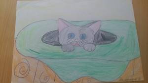 Рисунок к рассказу Н