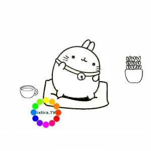 МОЛАНГ  РАСКРАСКИ