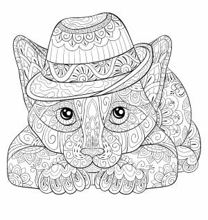 Раскраска Живая Шляпа