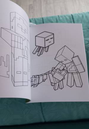 Libertaria Раскраска Майнкрафт