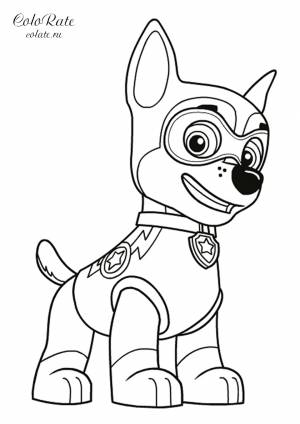 Раскраска Гонщик