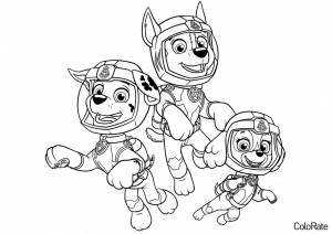 Раскраска Мегащенки