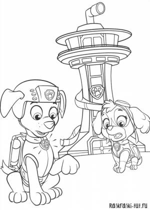 Раскраски мега щенки из мультика щенячий патруль