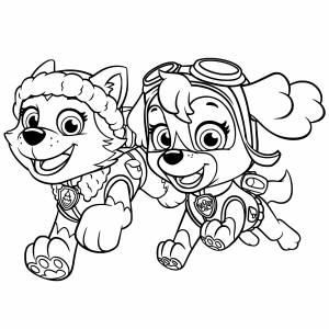 Раскраска эверест и скай