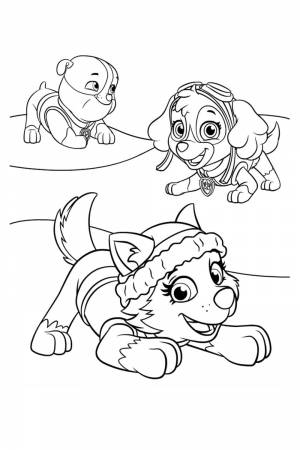 Раскраска Эверест, Скай и Крепыш