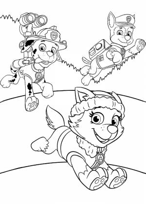 Эверест Щенячий патруль