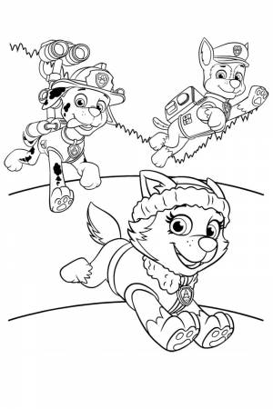 Раскраска Эверест, Маршал и Гонщик