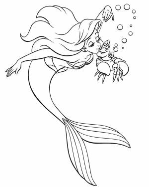 Раскраски ариэль