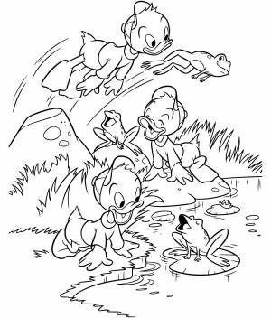 Утиные истории