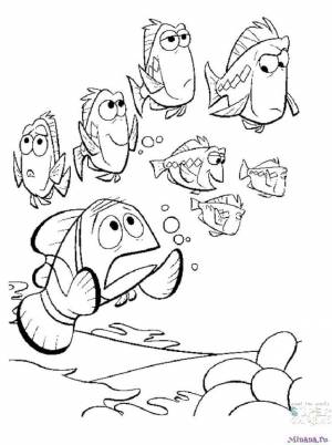 Раскраска В поисках Немо 6