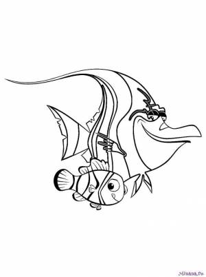 Раскраски В Поисках Немо