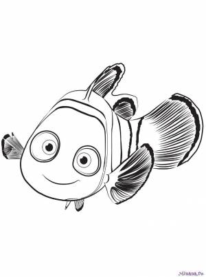 Раскраски В Поисках Немо