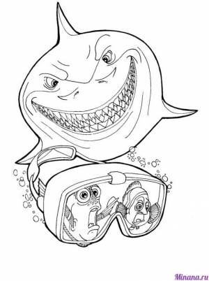 Раскраска акула 3