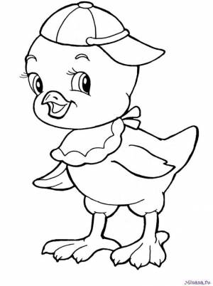 Раскраска цыпленок 4
