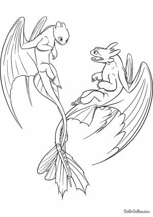 Раскраска Дневная и ночная фурии