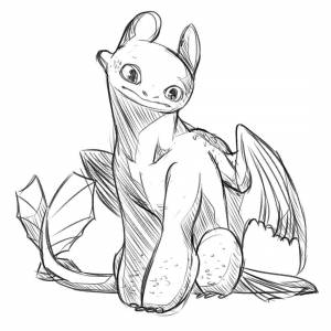 Раскраски приручить дракона ночная фурия