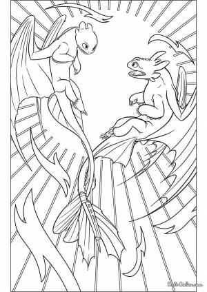 Раскраска Дневная Фурия и Ночная Фурия