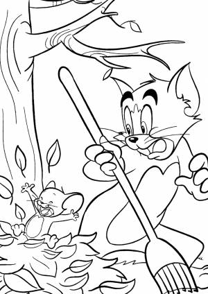 Раскраски Том и Джерри   на
