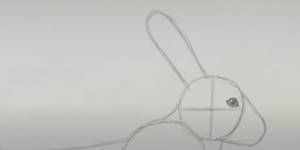 Как нарисовать зайца  кролика