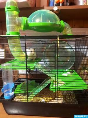 Солнечный зайчик, страница 16