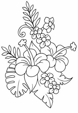 Раскраска Цветок Дикий , Рисунок и Картинка , Девочки и Мальчики