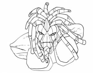 Раскраска Гормити