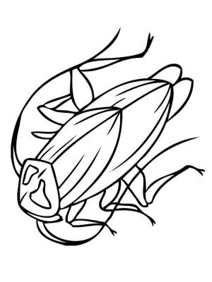 Раскраски Таракана