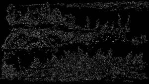 Раскраски Тараканище