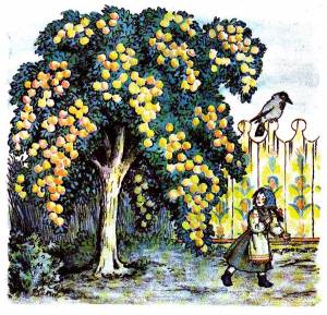 Владимир Конашевич «Мороз Иванович»