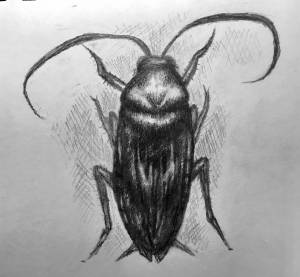 Айболит и Бармалей, Крокодил и Федора Егоровна