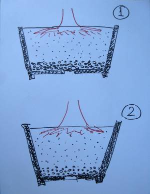 Уголок ботаника