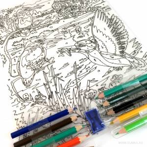 раскраску по номерам карандашами «зимородки» за 300 рублей в интернет-магазине Думка