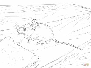 Мышонок пик раскраска