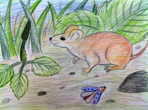 Рисунок к произведению мышонок пик