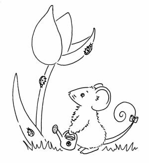 Мышка раскраска для детей