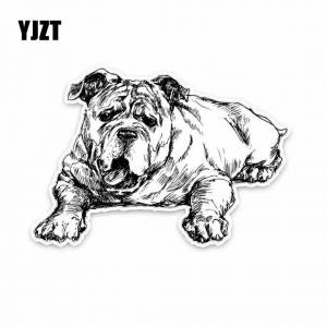 Булька раскраска