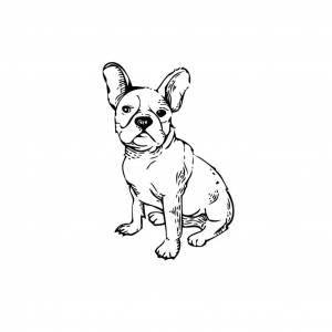 Булька рисунок