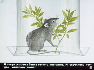 Мышонок пик рисунок карандашом