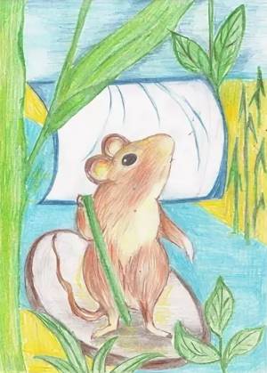 DataLife Engine > Версия для печати > Детские рисунки бианки