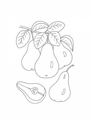 Раскраски Груша   в формате