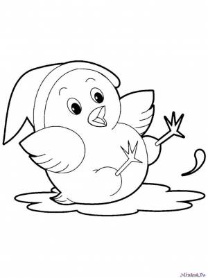 Раскраска цыпа