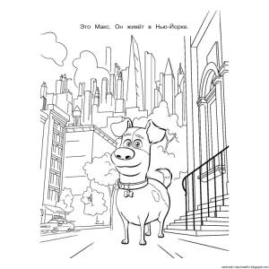 DataLife Engine > Версия для печати > Тайна коко раскраска